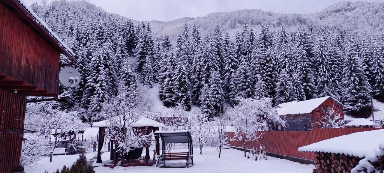 Садиба Квітка Карпат Russkaya Mokraya Exterior foto